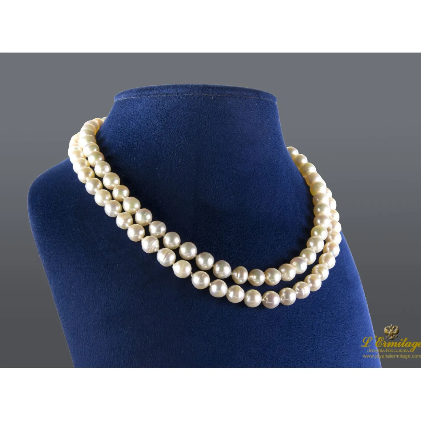 COLLARES Collar de perlas con cierre en oro amarillo.