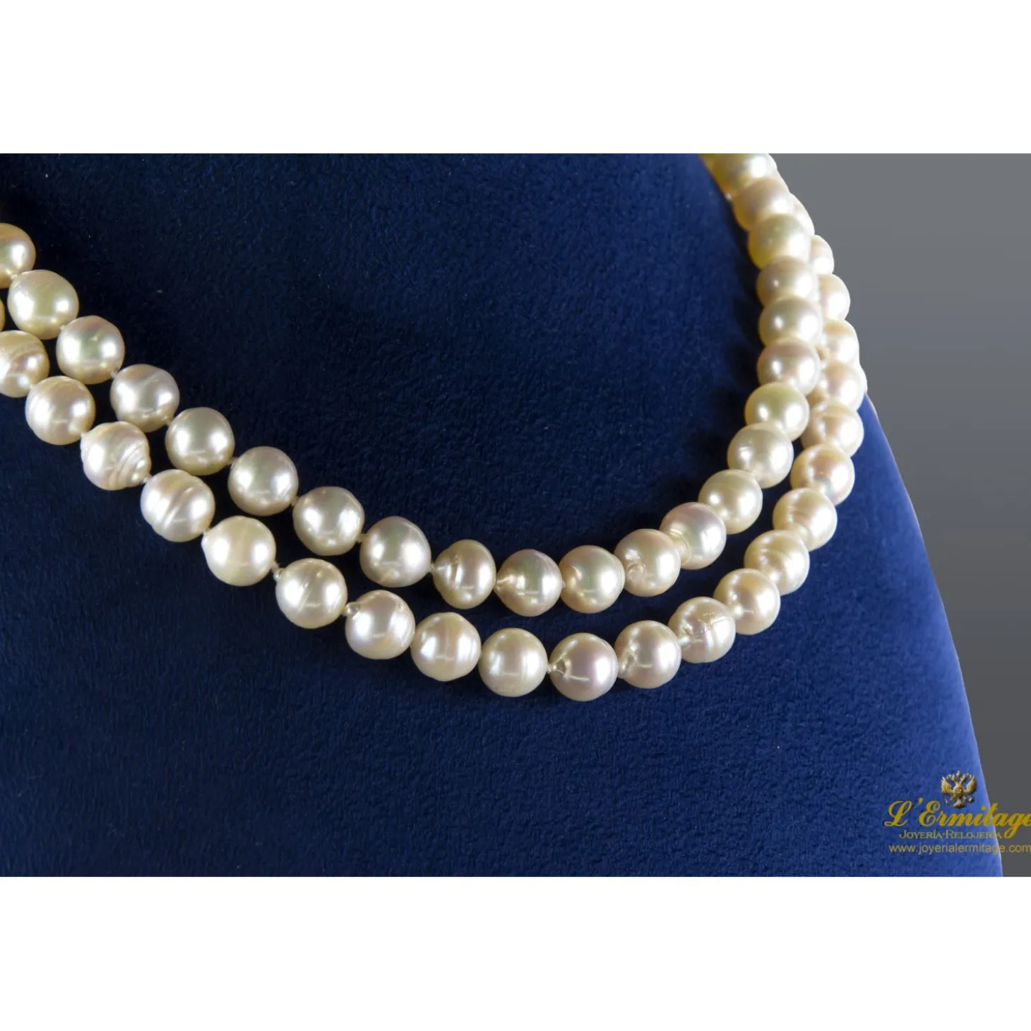 COLLARES Collar de perlas con cierre en oro amarillo.