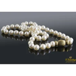 COLLARES Collar de perlas con cierre en oro amarillo.