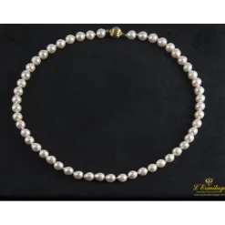 COLLARES Collar de perlas con cierre en oro amarillo.