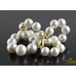 COLLARES Collar perlas australianas degrade